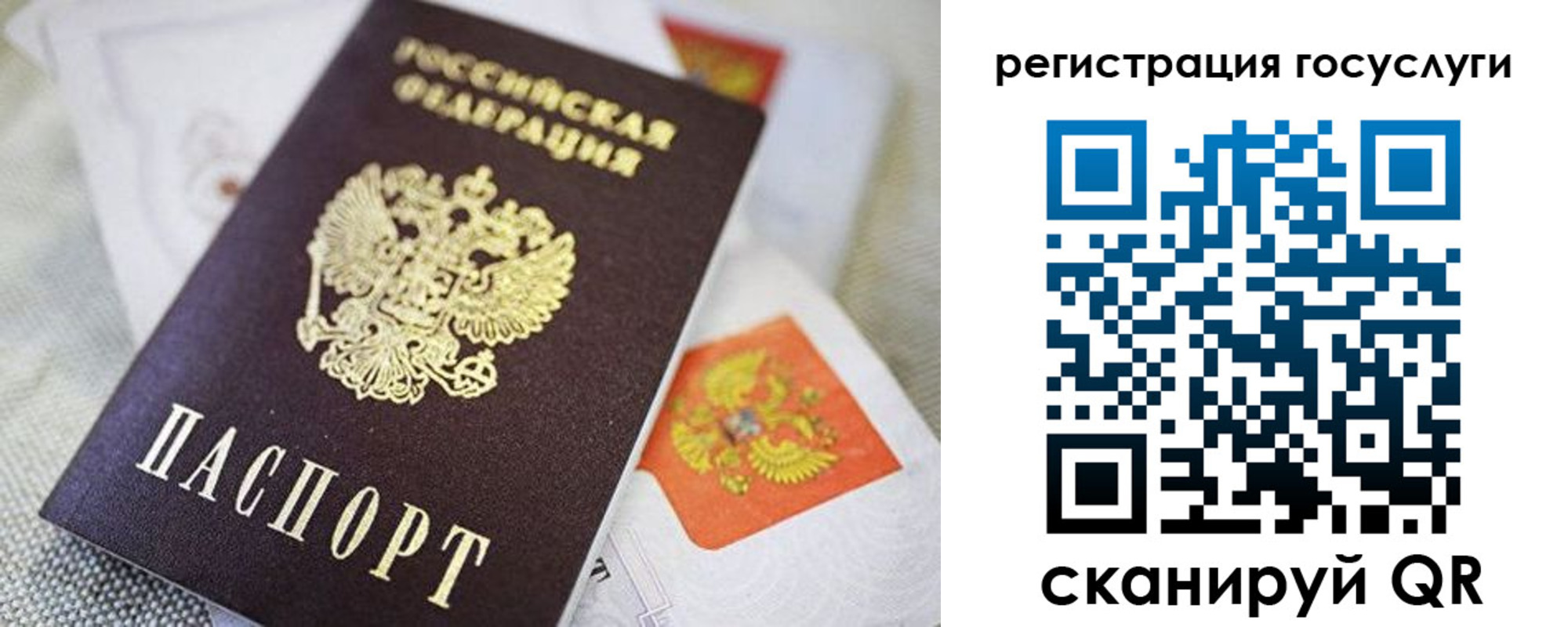 прописка паспорт в Тамбовской области